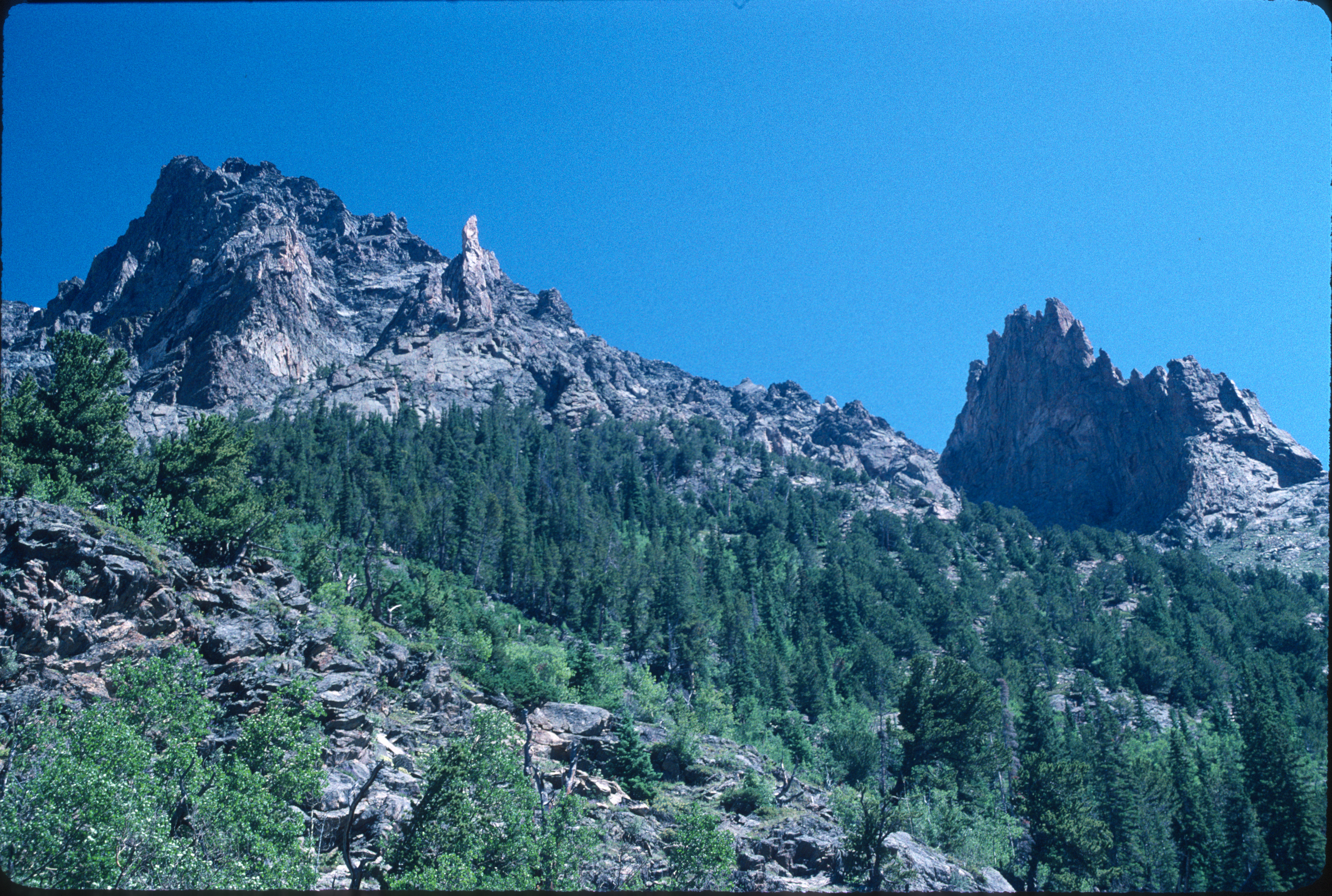 mountain peak against blue sky. there are pine trees in the foreground