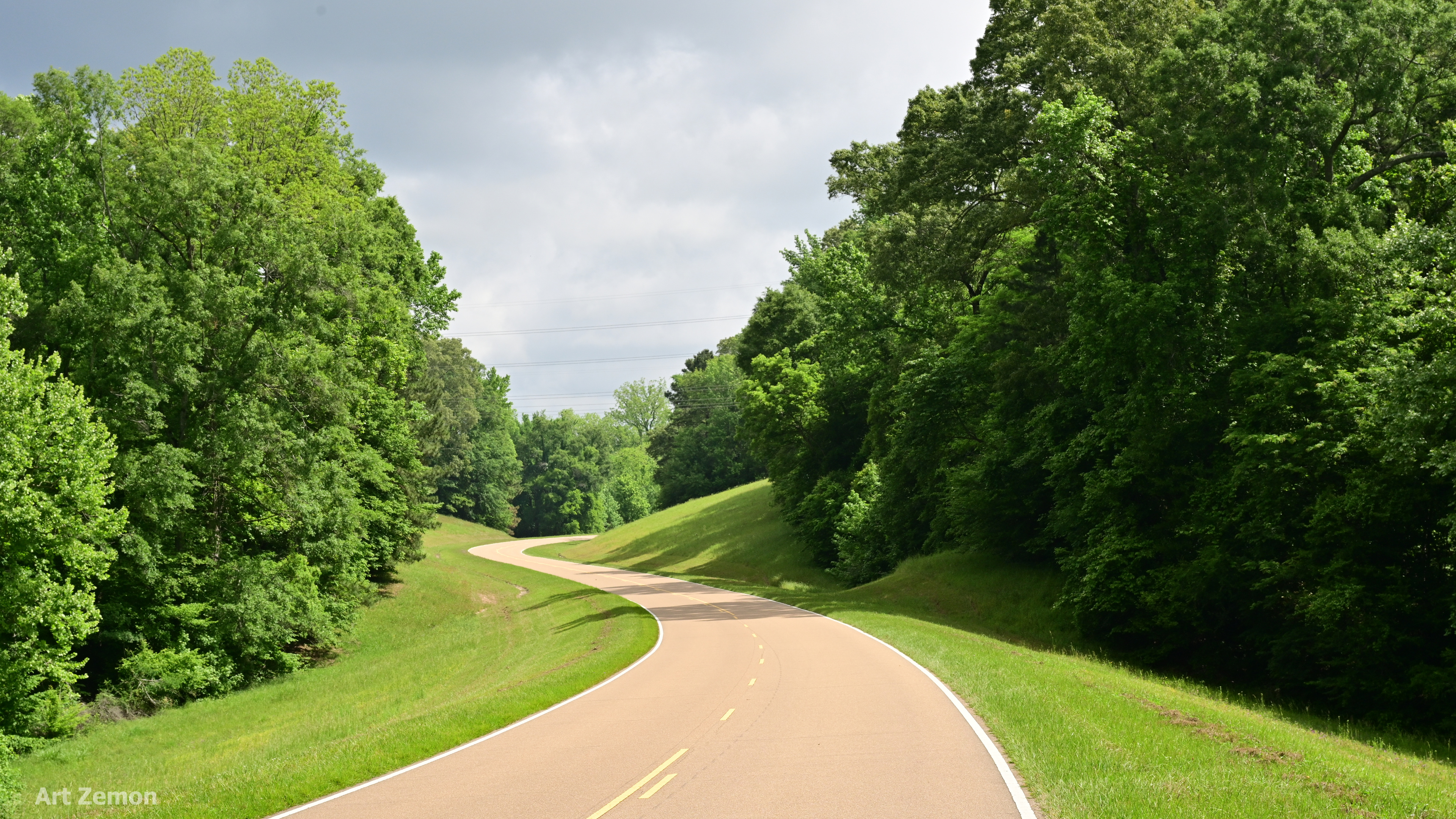 part of the 2 lane Natchez Trace Parkway curve between trees with an overcast sky above
