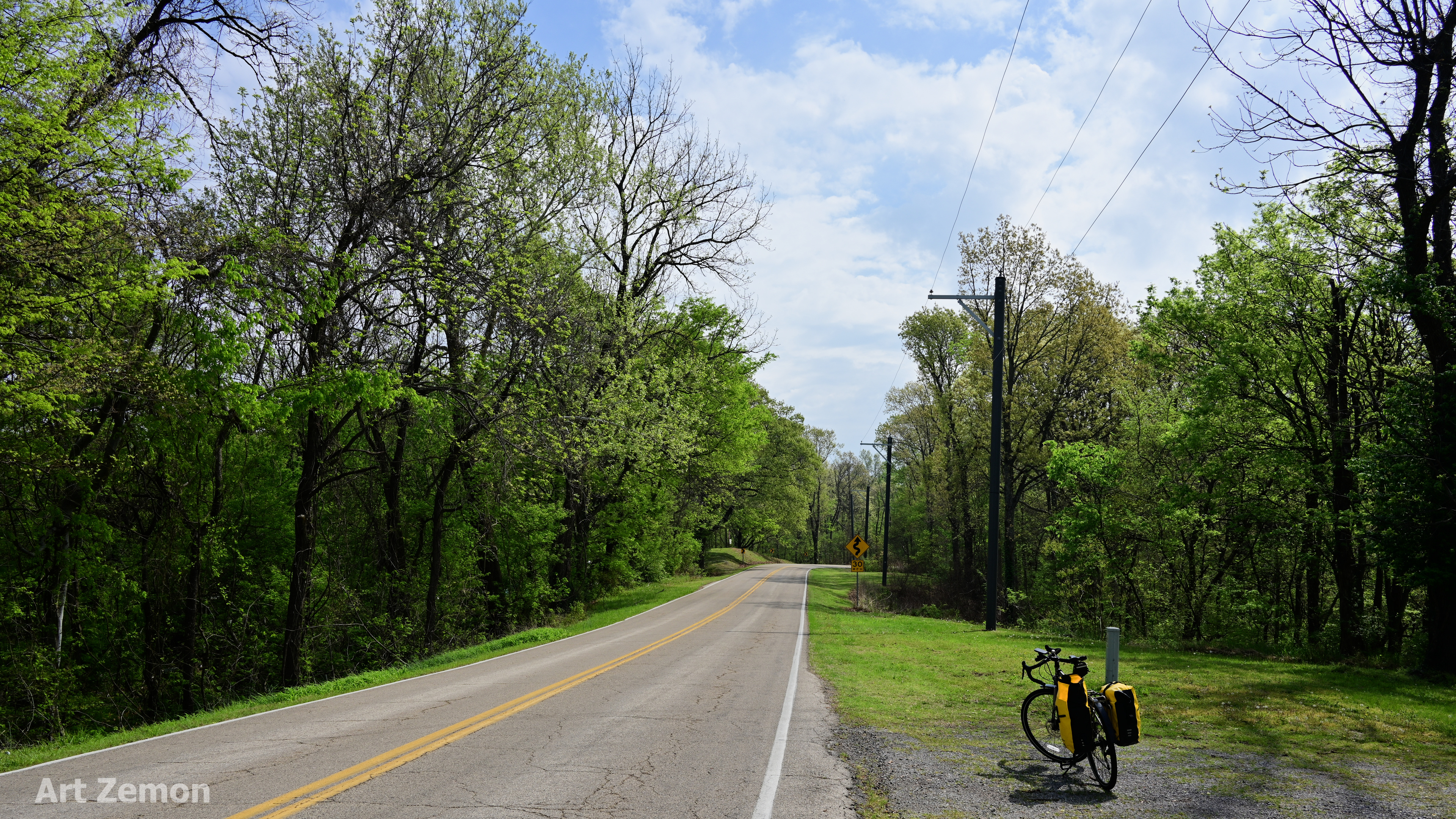 Touring bicycle parked by the side of a quiet road. There are tall green trees on both sides