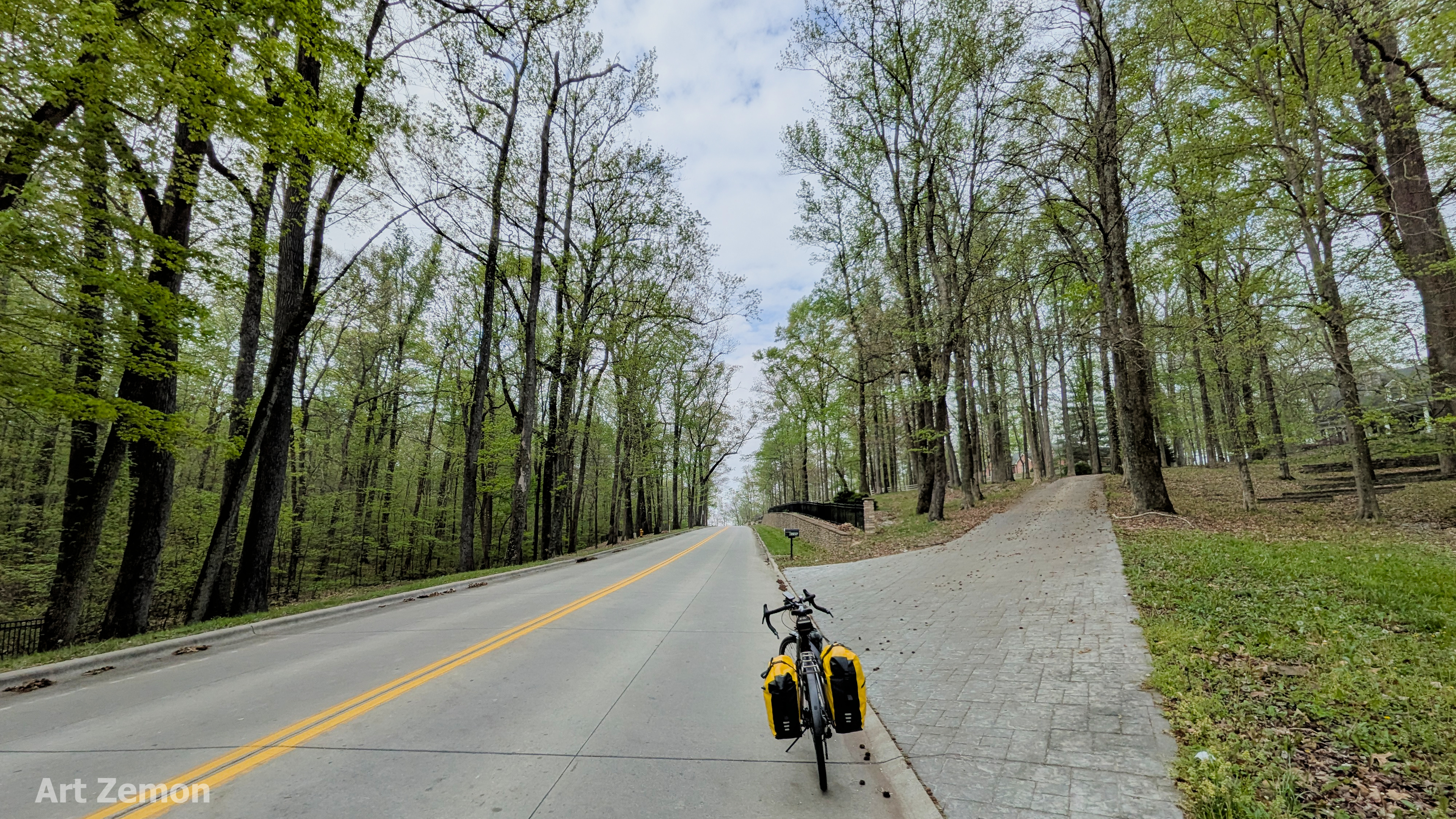 Touring bicycle parked on the side of a quiet residential street with towering green trees on both sides